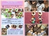 8月1日（土）Makana.ribbon「ミニ実店版「まいぷれ・まるしぇ」　7月31日（金）、8月1日（土）のご案内」