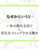 「【深掘りビタミンシリーズ “E”】岐阜市、各務原市で女性トレーナーのいるパーソナルスタジオをお探しの方はMINA STYLEへ！」