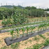 「酵素のパワーで栄養満点◎に育った『夏野菜』販売中！【福島市鎌田にある酵素浴･痩身エステ】」