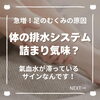 「ふくらはぎがパンパンじゃないですか？猫丸のボディケアで余分な水分とサヨナラ！（=^ェ^=) 整体・オイル・リーディング・占い・顔そり・氣功」
