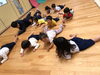 「新設！木曜幼児コース予約受付中!｜佐賀のこども体育教室」