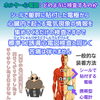 循環器内科医がホルター心電図検査を解説「ホルター心電図検査をマンガで解説しました【尼崎・内科】」