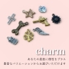 天然石と星座のチャーム 星座で選ぶ♪天然石キーホルダーができました【プレゼントにも】徳島