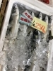 「魚魚市場鮮魚コーナーおすすめは「ヤリイカ」です♪」