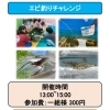 エビ釣りチャレンジ