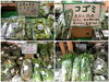 「旬の山菜や野菜、果物を全国に発送致します！」
