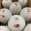 「今年もプリンス君の入荷も始まりました👑 茨城県産　「プリンスメロン」」