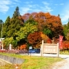 【紅葉スポット】岡谷市／出早公園