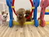 さらんちゃんジャンプ💨見守るひとびと。「ましゅまろ幼稚園🐾」
