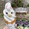 恵庭市牧場【えこりん村】