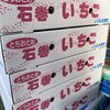 「宮城県産　いちご「とちおとめ」」