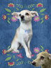 「Dog salon mofu mofu　余市町」