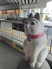 駅にも招き猫！※豪徳寺駅「無数の猫、猫、猫【東京旅行記第二弾】」