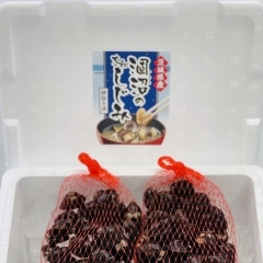 生しじみ（大粒）400ｇ×2セット