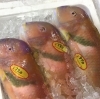 「魚魚市場鮮魚コーナーおすすめは「ワタリガニ」です♪」