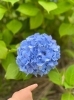 「今の時季だけの出会い♡」