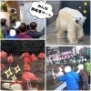 「🎍新年のご挨拶🎍＆上野動物園へ行きました🚃🐆🐘」