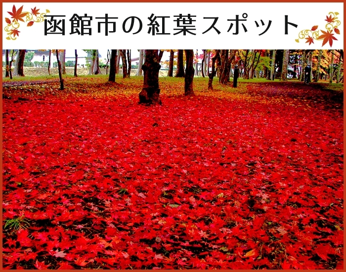 函館市の紅葉スポット