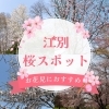 【2025年最新】江別の桜スポット｜花見におすすめの公園＆アクセス情報