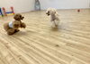 にこくん＆Ａきなこちゃん　じゃれっこ中❤️😃「ましゅまろ幼稚園🐶」