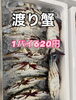 「岩牡蠣入荷してます」
