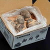 「御所芋・御所柿好評販売中！」