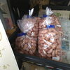 落花生「お野菜入荷」