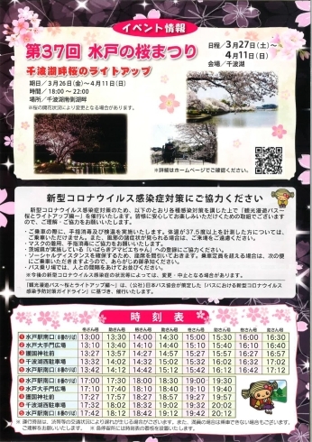 「【お知らせ】水戸市「観光漫遊バス～桜とライトアップ編～」が走ります！」