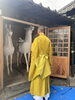 「令和10年 秘仏ご本尊御開扉 開山1250年紀念事業　絵馬堂「神馬」修復工事」