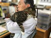 「クルミのお気に入りスタイル」
