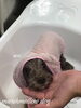 うみちゃんパック中〜「秋のオプションキャンペーン　（╹◡╹）」