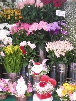 お花を買うならココ 船橋の花屋さんまとめ 船橋の暮らしを楽しくするお店まとめ まいぷれ 船橋市 お花を買うならココ 船橋の花屋さんまとめ 船橋の暮らしを楽しくするお店まとめ まいぷれ 船橋市