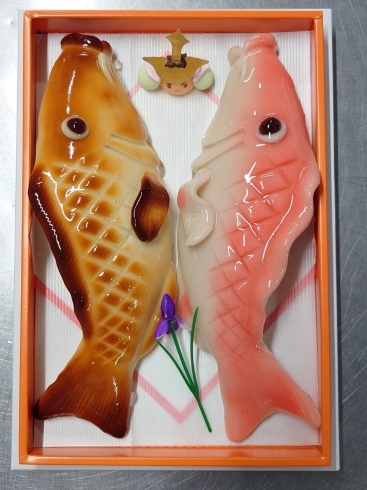 鯉の引菓子「こどもの日🎏生チョコカブトケーキ」