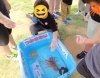 「見て、さわって、発見！イオンのイベントへ参加しました🐟🌞」