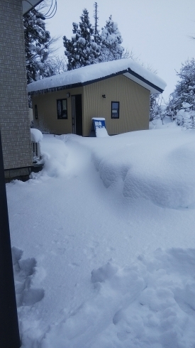 雪で埋もれそう「急遽、休診日になりますm(_ _)m」