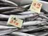 「魚魚市場鮮魚コーナーおすすめは「イサキ」です♪」