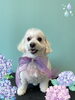 「Dog salon mofu mofu　余市町」