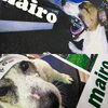 「愛犬の写真で作るオリジナルTシャツ！大切な思い出を身につけて楽しもう♪」