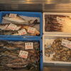 「魚屋さんより八百屋さん⁉️🥦」