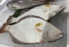 「魚魚市場鮮魚コーナーおすすめは「マテ貝」です♪」