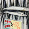 「魚魚市場鮮魚コーナーおすすめは「サバ・アジ・トビウオ」です♪」