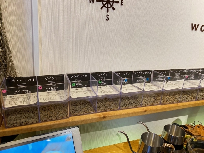 いろいろなスペシャルティコーヒーの生豆が。「尾上町のKotobuki「寿」珈琲焙煎所様を訪問してまいりました。」