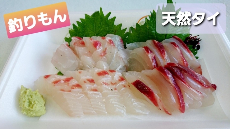 本日のお刺身 定置もん 島根県産ヨコワ 釣りもん 天然タイ 寺津屋 仕出し 会席料理のニュース まいぷれ 松江 本日のお刺身 定置もん 島根県産ヨコワ 釣りもん 天然タイ 寺津屋 仕出し 会席料理のニュース まいぷれ 松江