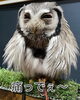 ウソつけ！「もう7月暑いけどバリバリ元気！」