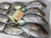 「魚魚市場鮮魚コーナーおすすめは「のどぐろ・エビスダイ」です♪」