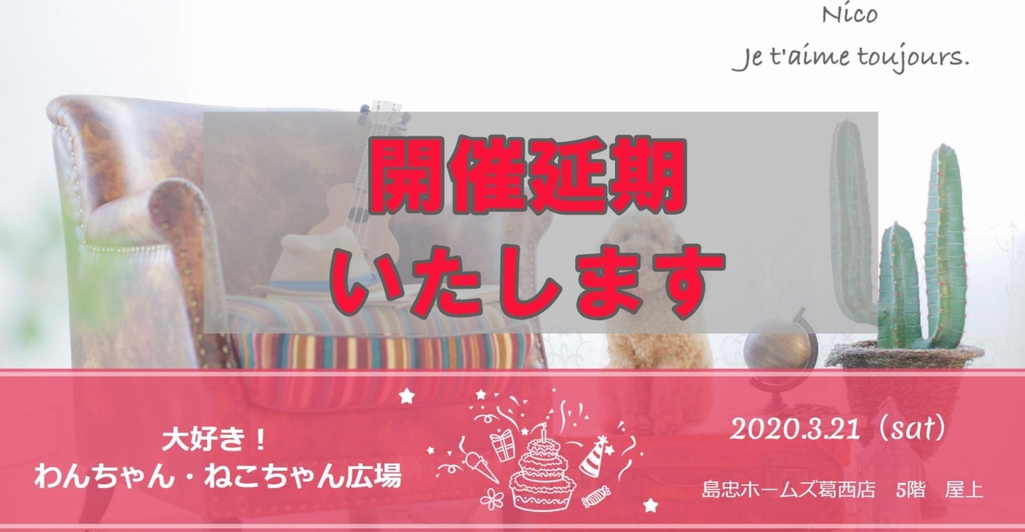 延期 第1回 ホームズ葛西店 大好き わんちゃん ねこちゃん広場 オススメお出かけ情報 まいぷれ 江戸川区 延期 第1回 ホームズ葛西店 大好き わんちゃん ねこちゃん広場 オススメお出かけ情報 まいぷれ 江戸川区