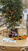 「【抽選のお知らせ】ハロウィンかぼちゃがやってきた！(10月1日〜10月31日) 」
