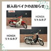 リトルカブ「福岡バイク屋　新入荷　ゼファー1100、VTR250 など」