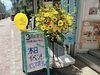 「6月4日（日）～18時まで【3周年感謝イベント】開催中！綺麗なお花に可愛い風船も♪新小岩『BANANA MANIA（バナナマニア）』さん♪」