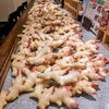 「毎年恒例の「生姜仕事」スタート！」